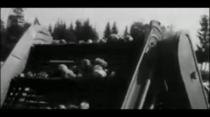 ХРОНИКА СССР! 1970 ГОД! СОВХОЗ ИЛЬИЧ!