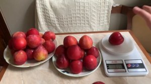 Слива Формоза/ Plum Formoza.Одна із найсмачніших диплоїдних