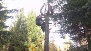Весь процесс на видео. Как спилить дерево на высоте 5 м