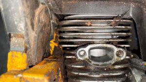 Бензопила Partner 350 спустя 18 лет эксплуатации