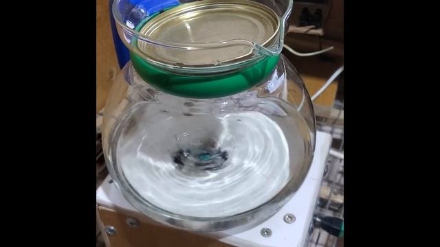 Закваска новоспорин от Тутагро  Обзор с микроскопиров