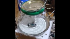 Закваска новоспорин от Тутагро  Обзор с микроскопиров