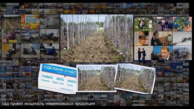 В Ставропольском крае заложен интенсивный фруктовый ? смотреть онлайн