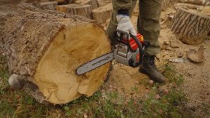 Бензопилы Интерскол ПЦБ 180 и Stihl MS180 - найди 10 отличий