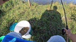 Открываем сезон 2025 на сома.С Лавром .1 Часть.Сом на 13 кг?