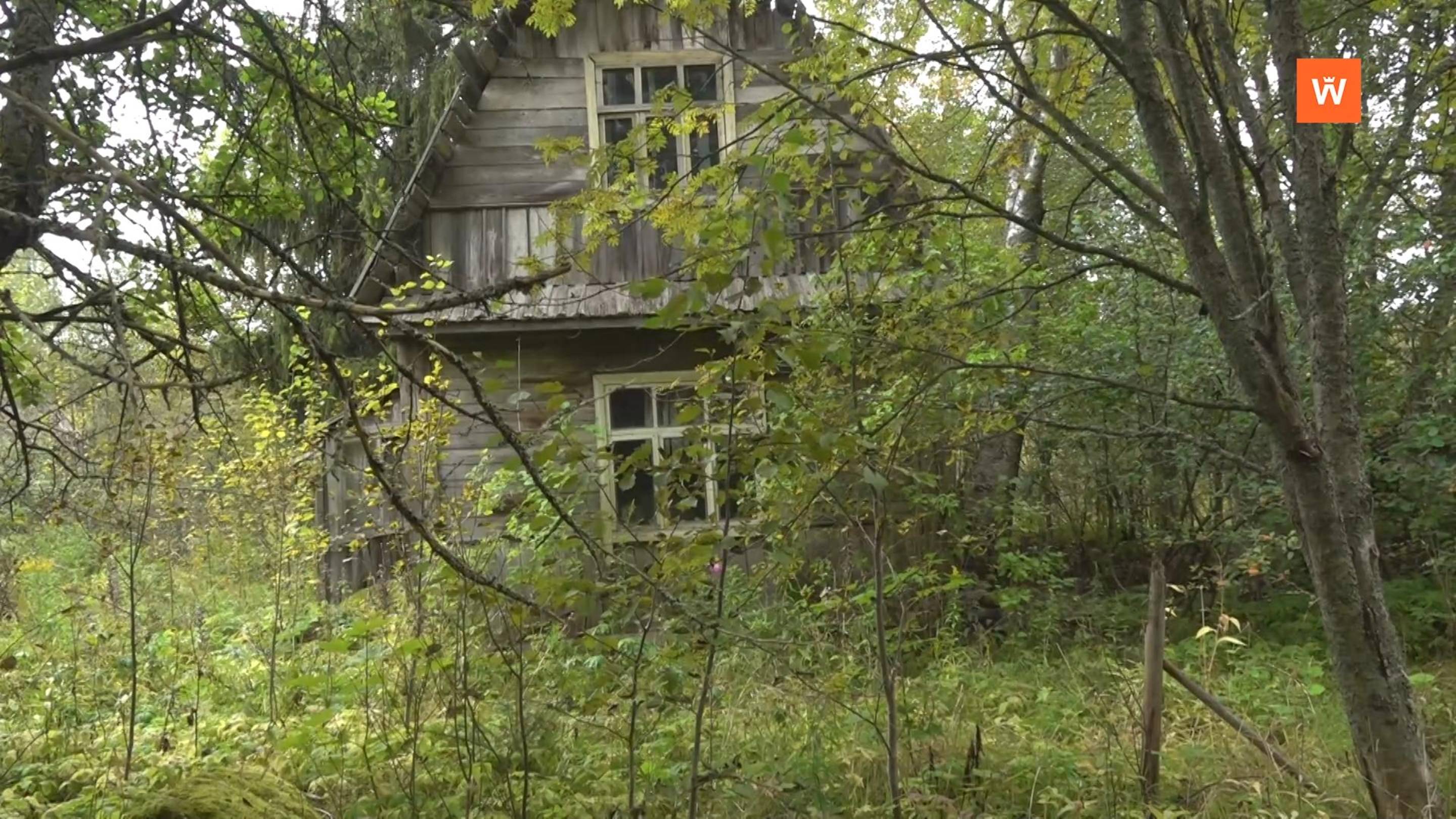 Программа «Город. Новости по-выборгски» от 9 сентября 2025 года смотреть онлайн