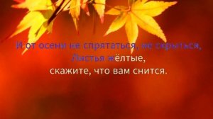 Листья жёлтые над городом кружатся - Караоке с мелодие