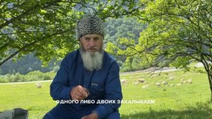 Настоящая жизнь пастухов в горах Чечни.