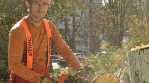 Бензопила Штиль МС 361. Обзор - Какую бензопилу купить. В