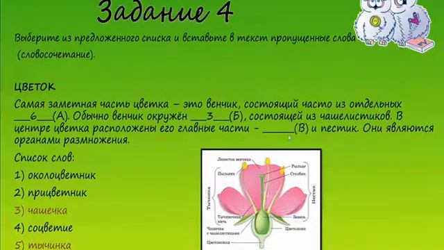 Биология. Разбор варианта ВПР по биологии 6 класс. Вари