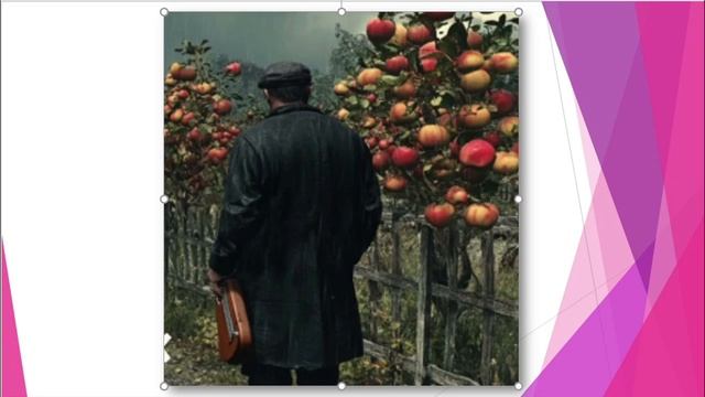 44 Галина Пагутяк Потрапити в сад 11 клас смотреть онлайн