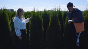 Питомник туй Ирины Любченко // 50млн рублей на туях