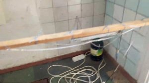 Сутки после посадки огурцов: почему они завяли и что д?