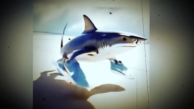 Песня Клип ТРАЛАЛЕЛО ТРАЛАЛА МЕМ Rasa - Пчеловод ПАРОДИЯ смотреть онлайн