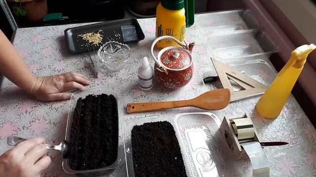 Посев Семян Перца Болгарского на рассаду. Выращивание