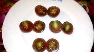 Томат Афрочерри