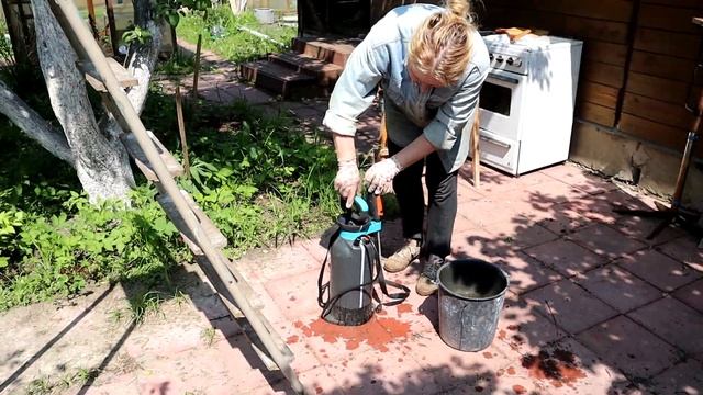 Опрыскивание деревьев инсектицидами смотреть онлайн