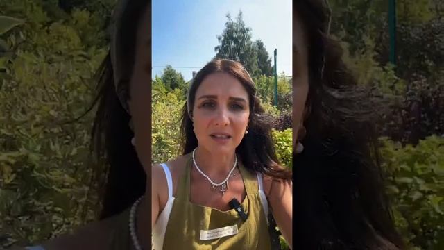 Про лаванду, гортензии, тимьяны, магнолии и еще 60000 кра?