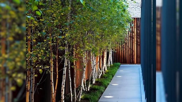 Самые Эффектные (и недорогие!) Кустарники для Живой Из? смотреть онлайн