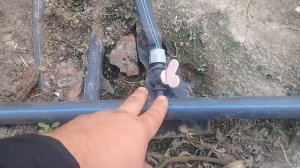 Качественное соединение капельной ленты с трубой!