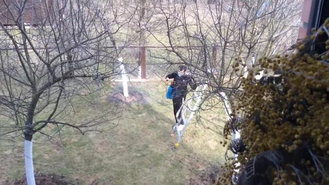 Обработка яблони от вредителей. смотреть онлайн