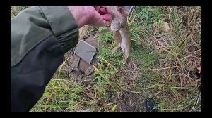 Рыбалка в начале сентября 2025