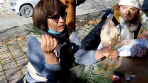 ПРИВИВКА ХВОЙНЫХ, наглядно и пошагово от хозяйки усад?