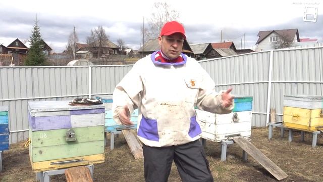 КЛЮЧЕВЫЕ МОМЕНТЫ НА ПАСЕКЕ ВЕСНОЙ. КАЛЕНДАРЬ ПЧЕЛОВОД