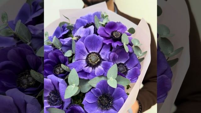 Моно Букет S  «Элегант Анемоны» #flowerstory #букеты #магазин