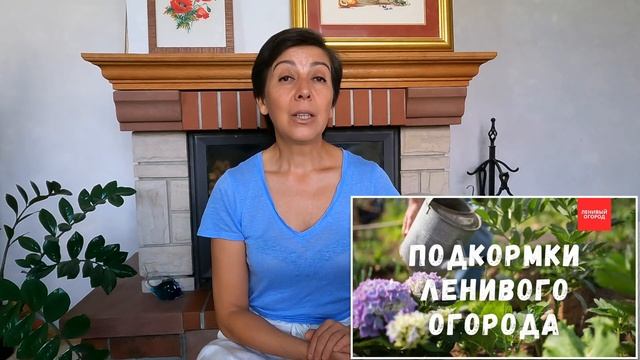 Спаржа после сбора урожая | Когда можно и нельзя собир? смотреть онлайн