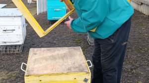 ВЕСЕННЯЯ ОБРАБОТКА ПЧЁЛ ОТ КЛЕЩА!