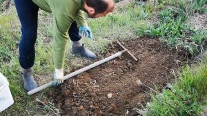 АБРИКОСЫ и ПЕРСИКИ весенняя посадка КОСТОЧЕК как это ?