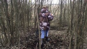 Как посадить грибы на участке?  / Посадка грибов. Часть