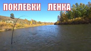 Рыбалка на ленка осенью.