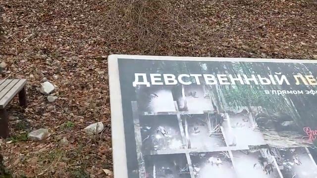 Геленджик загородный клуб Ягода Малина