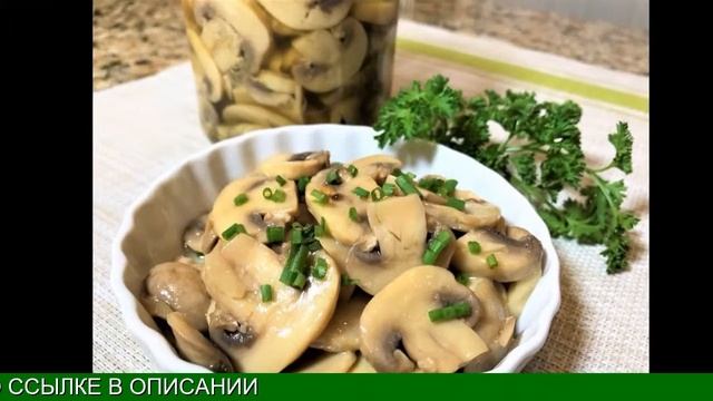 Домашняя Грибница Реальные Отзывы смотреть онлайн