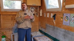 🔥 Варроатоз пчел. Продолжаем лечение без химии. Весна