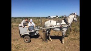 ГРОЗДЬЯ ВИНОГРАДА 1,2,3,4,5,6,7,8 - 24 СЕРИЯ (2020) АНОНС/ТРЕЙЛЕР