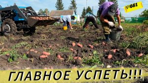 Картошка не сдается. Сможем ли мы её выкопать!? Жизнь и будни в Омской деревне.