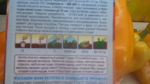 САМЫЙ КРУПНЫЙ СЛАДКИЙ ПЕРЕЦ ОРАНЖЕВЫЙ БЫК! Ольга Черн?