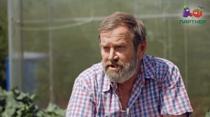 ЦВЕТНАЯ КАПУСТА ЗА 45 ДНЕЙ! СУПЕРРАННИЙ СОРТ ОПААЛ!