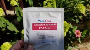 Подкормки гортензии на ВЕСЬ сезон: наглядно и просто -