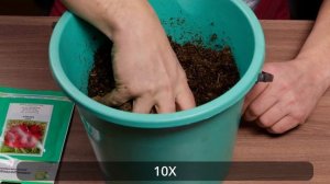 Какой грунт (торф) я выбираю для рассады