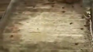 Норвежский метод зимовки пчёл. Часть 1