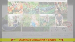 Средство от сорняков в малине 💣
