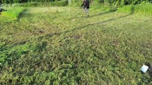 Мульчер (косилка) ZimAni LM100 в работе, отзывы.