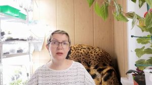 #1 Как я начала зарабатывать на комнатных цветах? Быстр