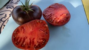 ЗВЕЗДНЫЕ АМЕРИКАНЦЫ / томаты Бифштекс Марши, Мятежный