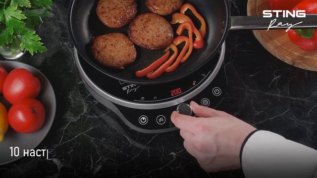 Электрическая индукционная плитка STINGRAY ST-HP3500D