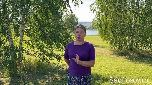 Когда лучше сажать флоксы или еще раз об отправке осен смотреть онлайн